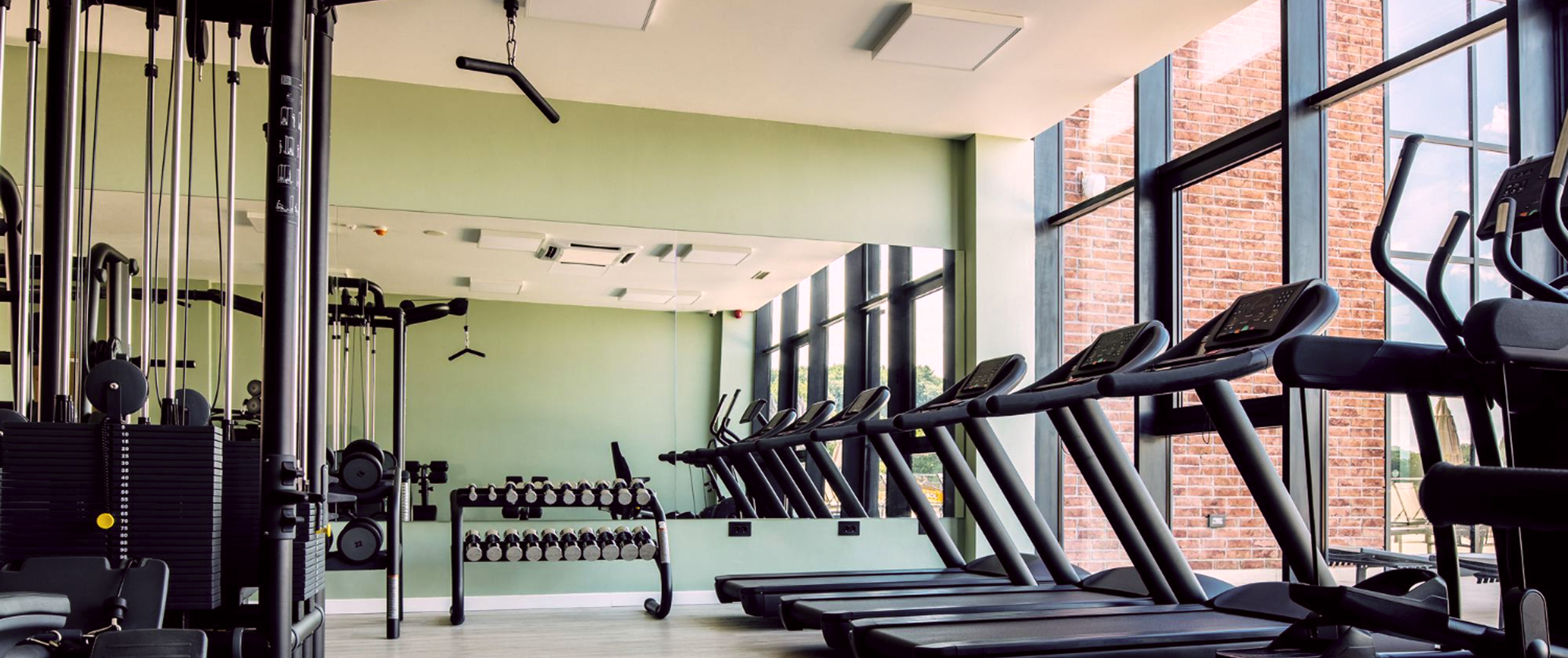  фото беговых дорожек в портивном зале